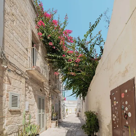 Antico & Bed and Breakfast 4*